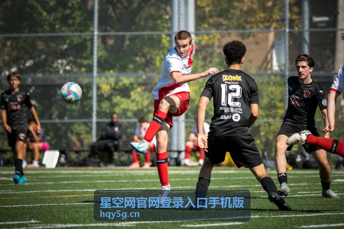 星空网账号登录窗口